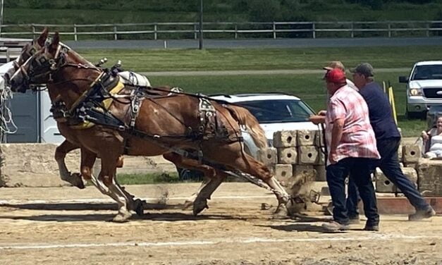 Changing times for horse pull participants and fans