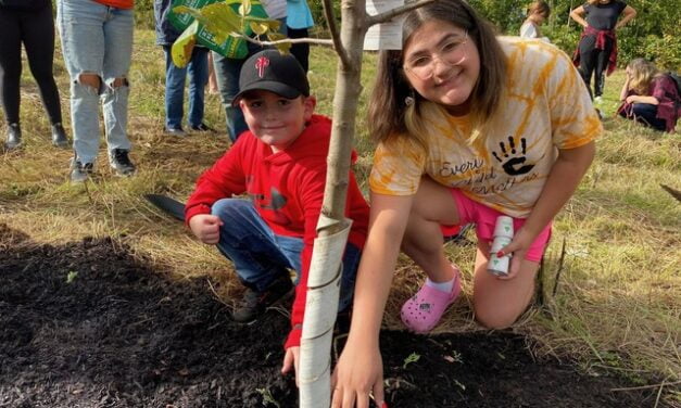 Tree planting events deliver greener, healthier communities