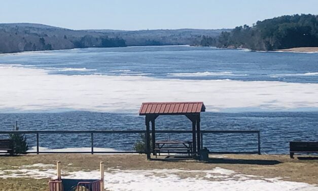 Spring water levels remain below flood levels in Woodstock area