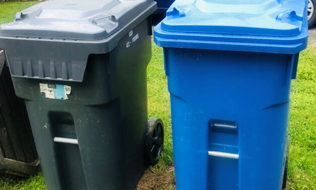 Woodstock residents may soon face garbage restrictions