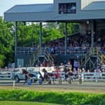 Saturday harness racing at Connell Park