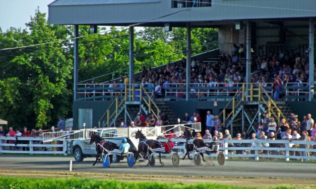 Saturday harness racing at Connell Park