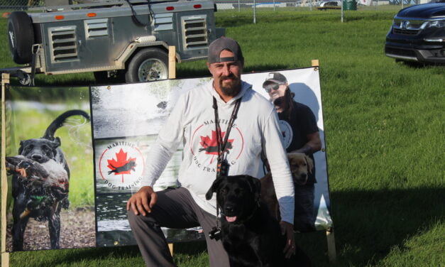 Maritime Dog Training canines entertain and educate