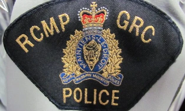 Retired police officer to chair Carleton North, Hartland police review committee