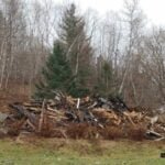 Suspicious blaze levels vacant Florenceville-Bristol home
