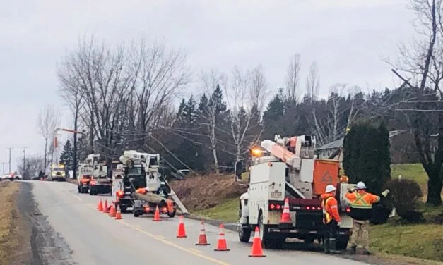 NB Power scrambling to restore power across New Brunswick