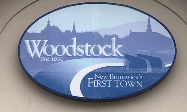 Woodstock Council News: Revamping PAC, Library Board appointments