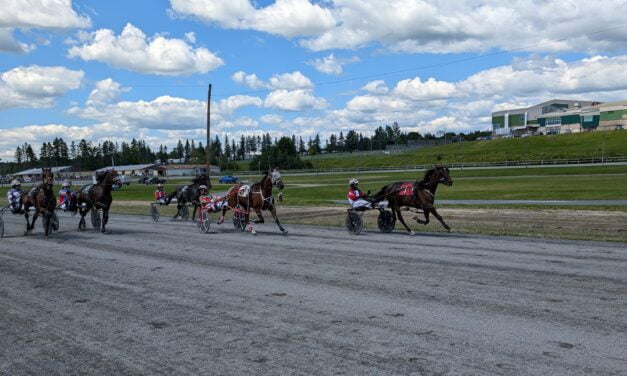 Horse Racing New Brunswick: Pacer leads field to capture Walter Dale Memorial in first race of season
