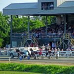 Three-year-old pacers highlight July 6 Connell Park Raceway card