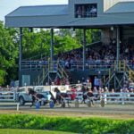 Woodstock to host record-setting harness race on Friday