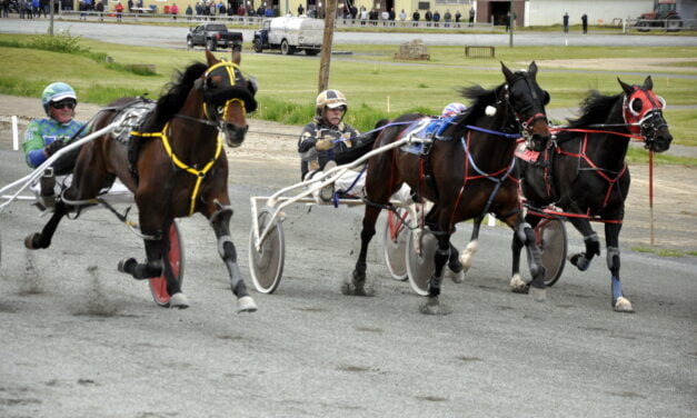 Saturday racing at Connell Park Raceway in Woodstock throughout September