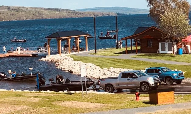 Chasing bass on the St. John River