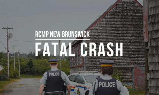 Ontario man dead after fatal crash in Meductic