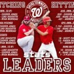 Reigniting a love of baseball
