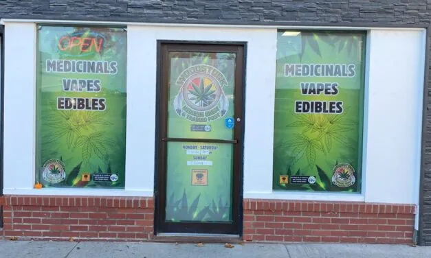 Police bust alleged Woodstock pot shop