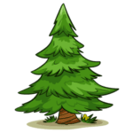 COLUMN: O’ Christmas Tree, O’ Christmas Tree…