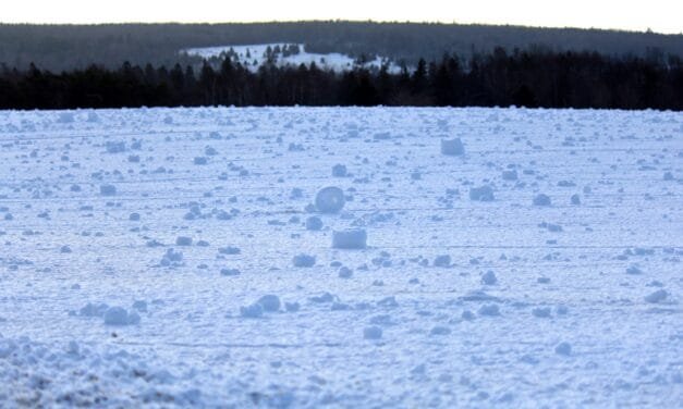 Rare ‘snow rollers’ spotted in Carleton County