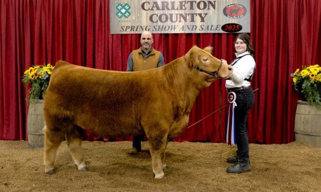 Show and Sale bidders pay top dollar for local beef