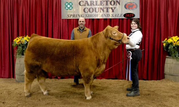 Show and Sale bidders pay top dollar for local beef