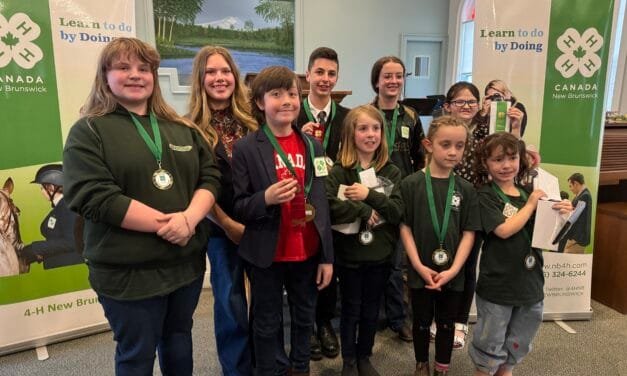 Big wins for the River Valley and Countryside 4-H Clubs