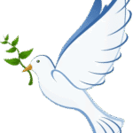 OBITUARY: Wayne Harry DeLong, 1951 – 2025