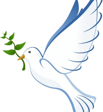 OBITUARY: Wayne Harry DeLong, 1951 – 2025