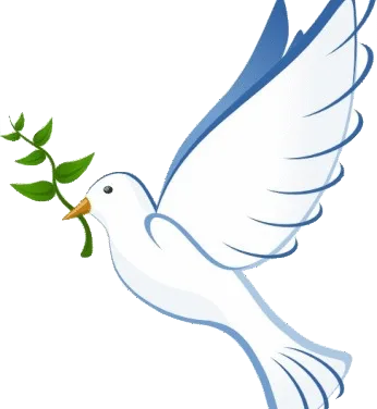 OBITUARY: Wayne Harry DeLong, 1951 – 2025