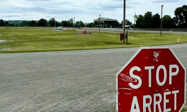 UPDATED: Lawnmower races cancelled as Woodstock conducts safety review of Connell Park Raceway