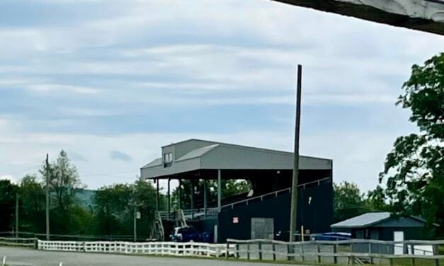 Two more harness races cancelled in Woodstock