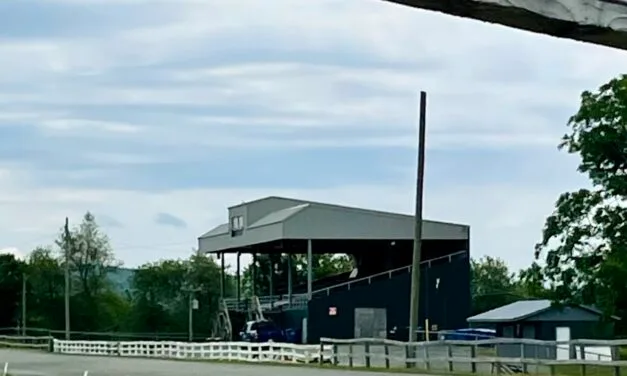 Two more harness races cancelled in Woodstock