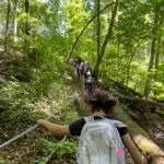Explore, learn, protect