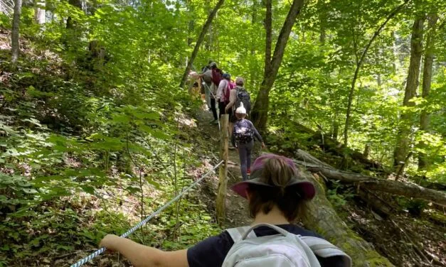 Explore, learn, protect