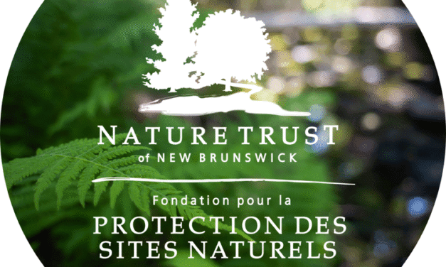 New Brunswickers invited to help name nature preserves