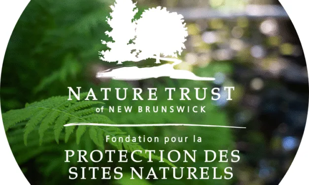 New Brunswickers invited to help name nature preserves