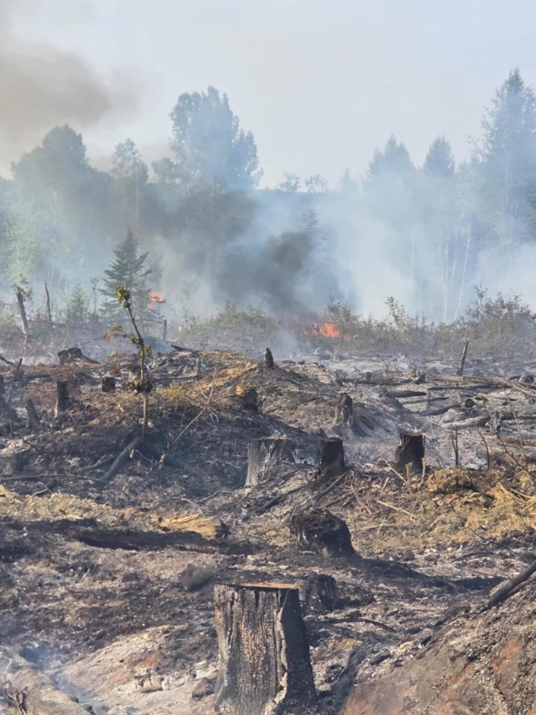 LATEST: Wildfire officials say Lakeland Ridges fire remains ‘out of ...
