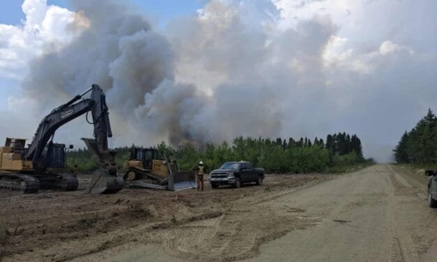Despite Crown-lands ban, some woods operations allowed to continue