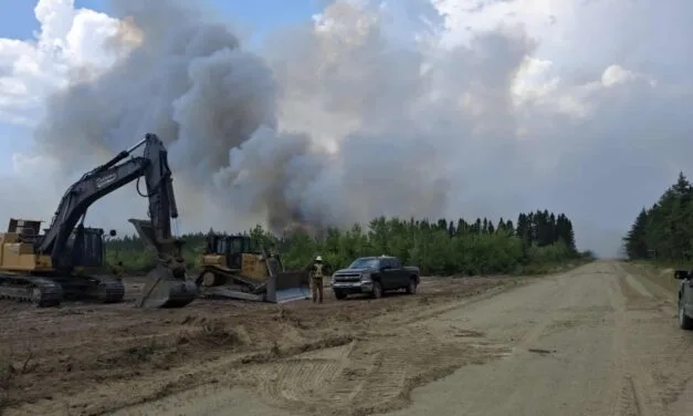 Despite Crown-lands ban, some woods operations allowed to continue