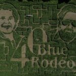 Hunter Brothers’ corn maze honours 40 years of Blue Rodeo