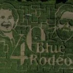 Hunter Brothers’ corn maze honours 40 years of Blue Rodeo