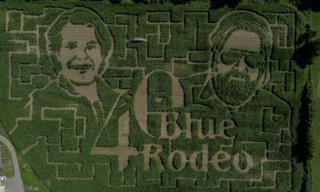 Hunter Brothers’ corn maze honours 40 years of Blue Rodeo
