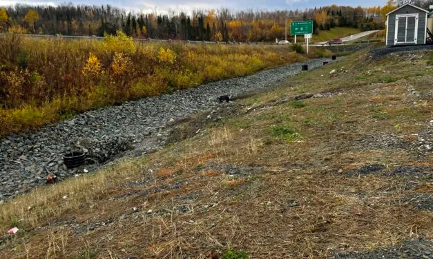 More than half of latest N.B. gas station inspections don’t meet provincial regulations