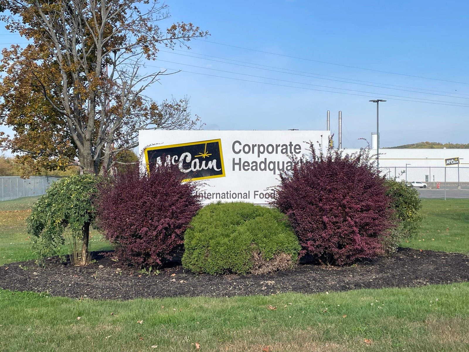 McCain Foods is undergoing a world-wide restructuring, but a company official says there will be no layoffs in New Brunswick. (Stephen Chisholm photo)