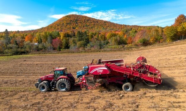 Extreme weather reshaping farming in N.B.