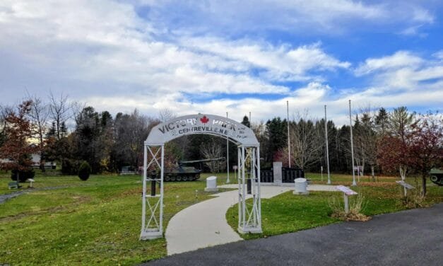 Vimy Ridge oaks coming to District of Carleton North