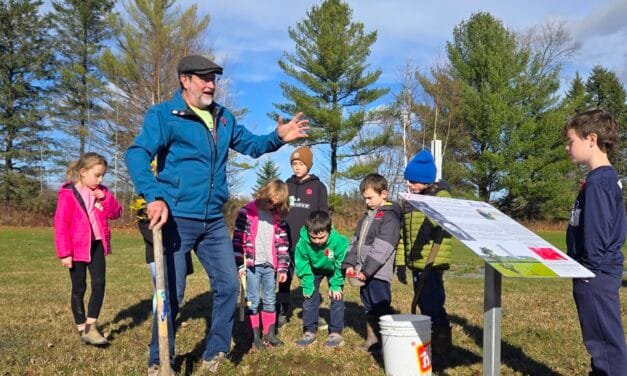 Vimy Ridge oaks planted in District of Carleton North