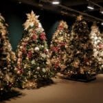 District of Carleton North hosts Sparkle of Christmas Silent Auction