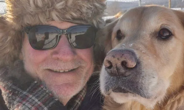 Dog owners cautioned after incident near Woodstock