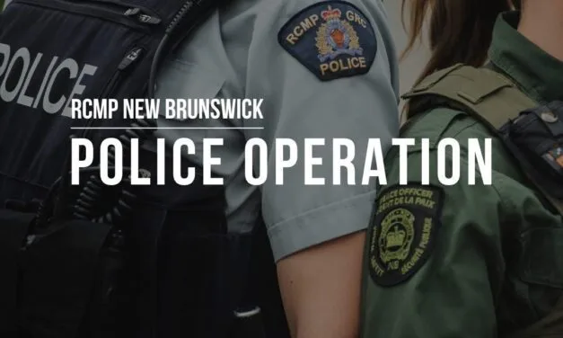 UPDATED: Police operation near Woodstock over