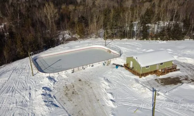 Debec Family Day skate