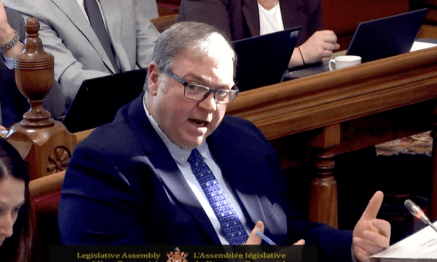 Deputy minister, minister double down on new vendor for virtual care services in N.B.